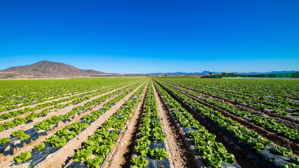 ESPECIALES PRODUCTOS - GOLDEN HUMANIC - AGRONUTRIENTES