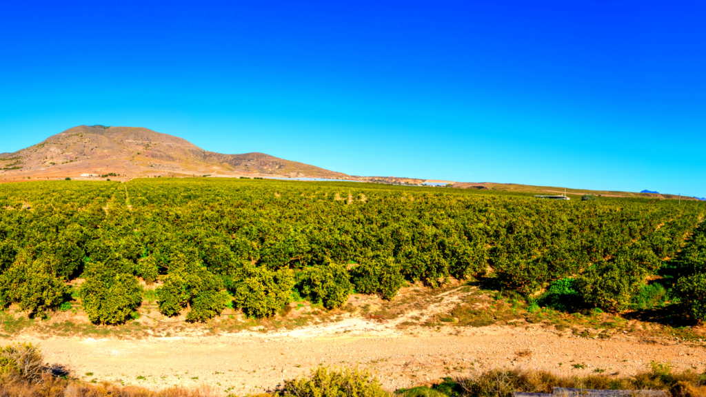 MEJORADORES DE SUELO - GOLDEN HUMANIC - AGRONUTRIENTES